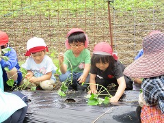 6月
