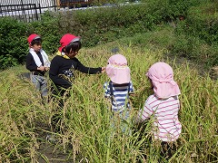 9月