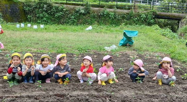 5月