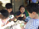 玉ねぎ皮むき→給食食材