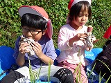 さつまいも掘り→焼芋