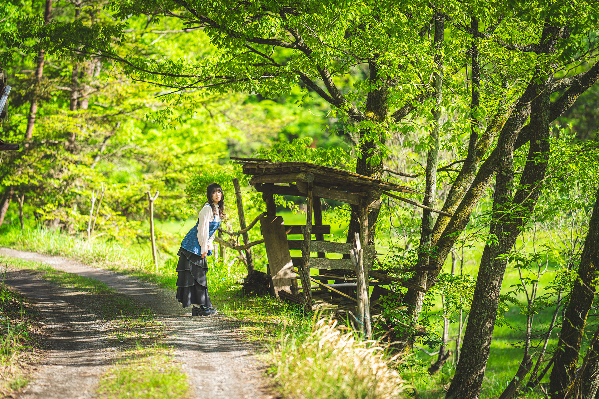 フォトウォーク・イベント開催