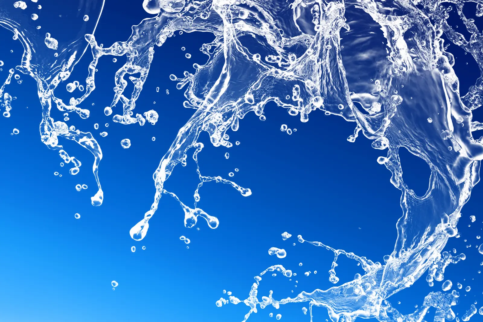 株式会社鈴木 クリーニングママドライイメージ画像