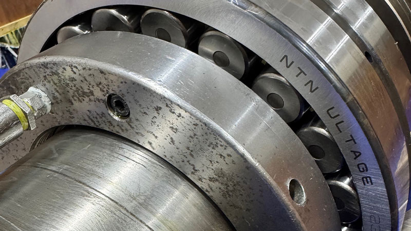 圧倒的な成長スピード