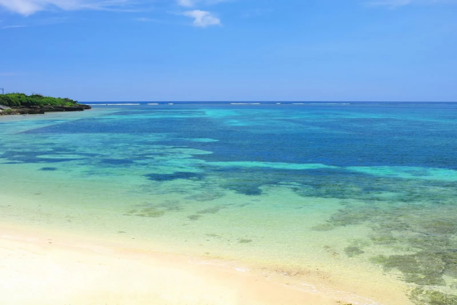 合同会社 果報イメージ画像