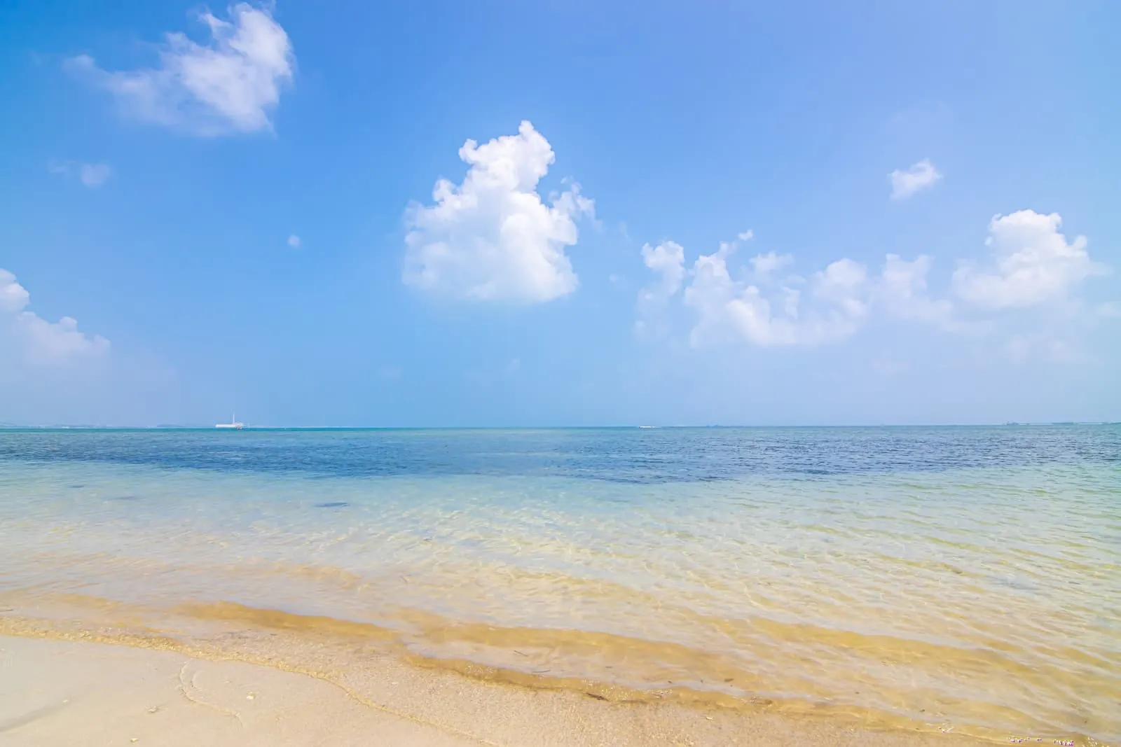 合同会社 果報イメージ画像