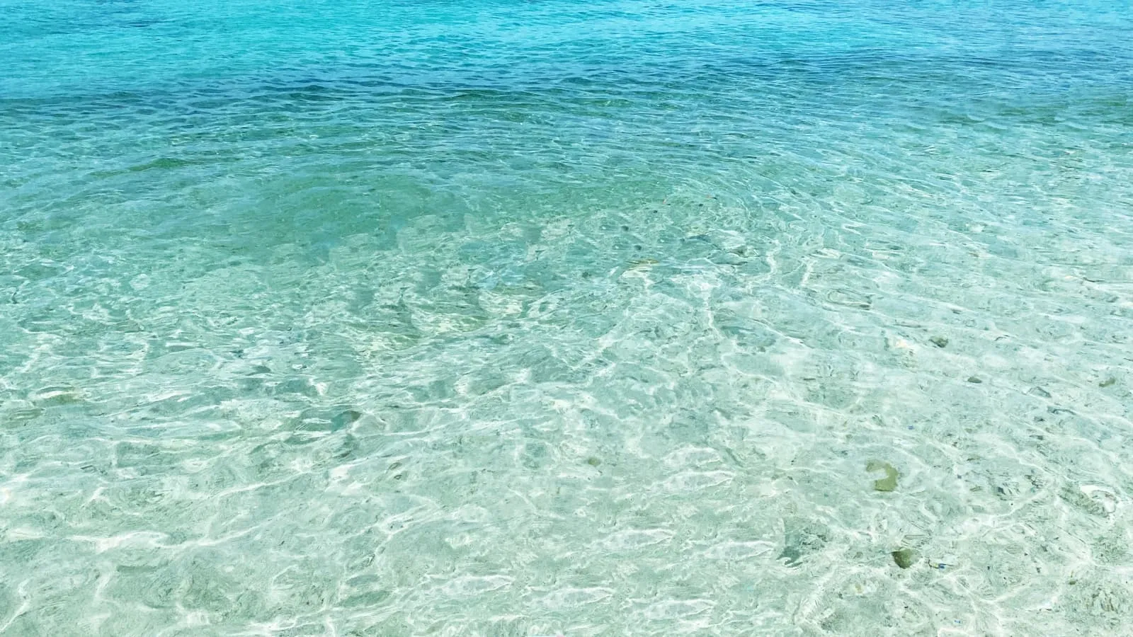 合同会社 果報イメージ画像