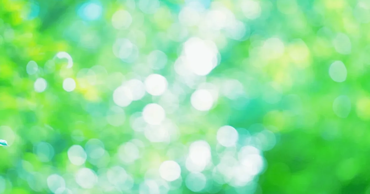 合同会社 果報イメージ画像