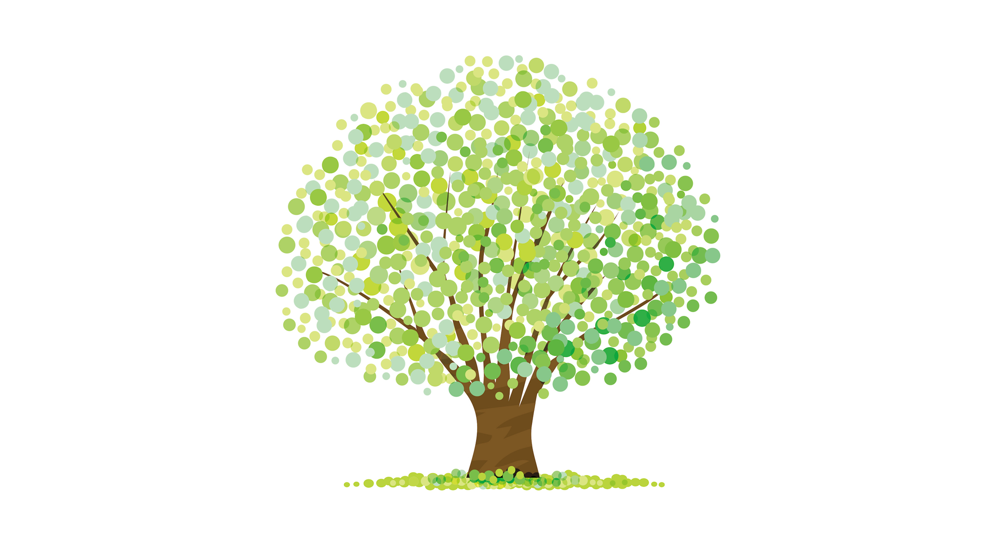 ねむのきについて