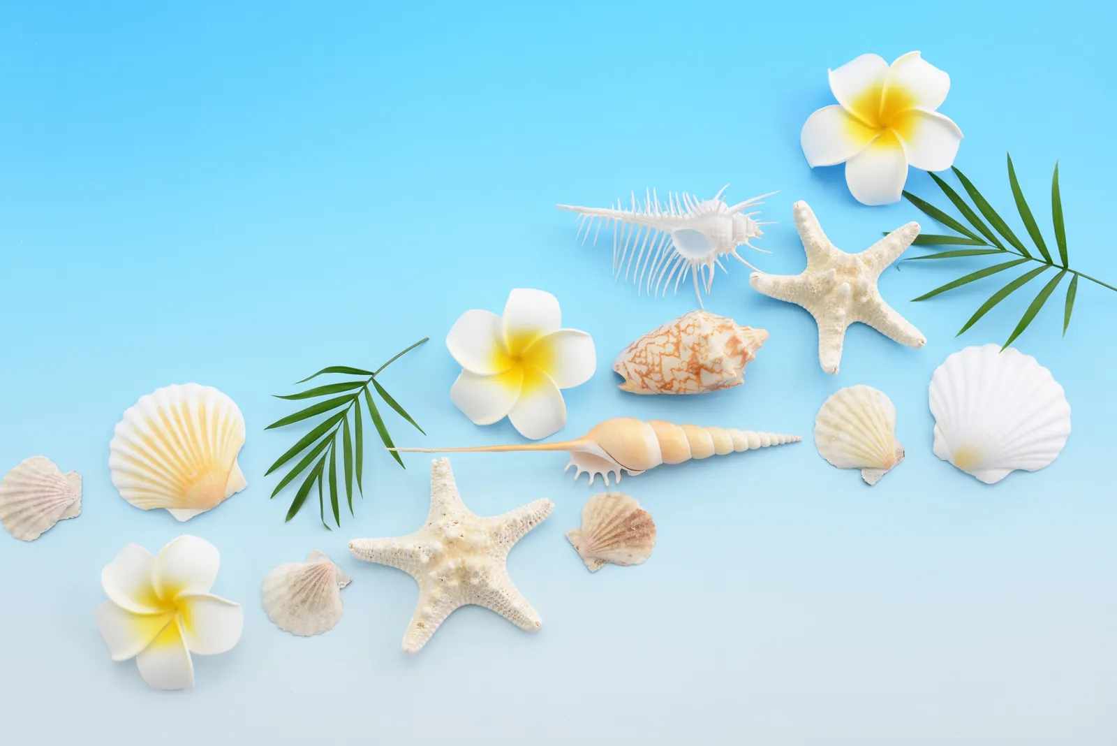 合同会社Monsteraイメージ画像