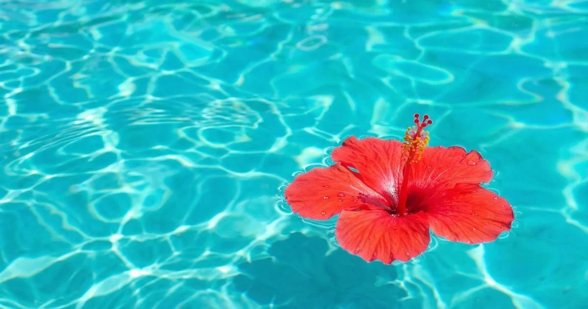 合同会社Monsteraイメージ画像