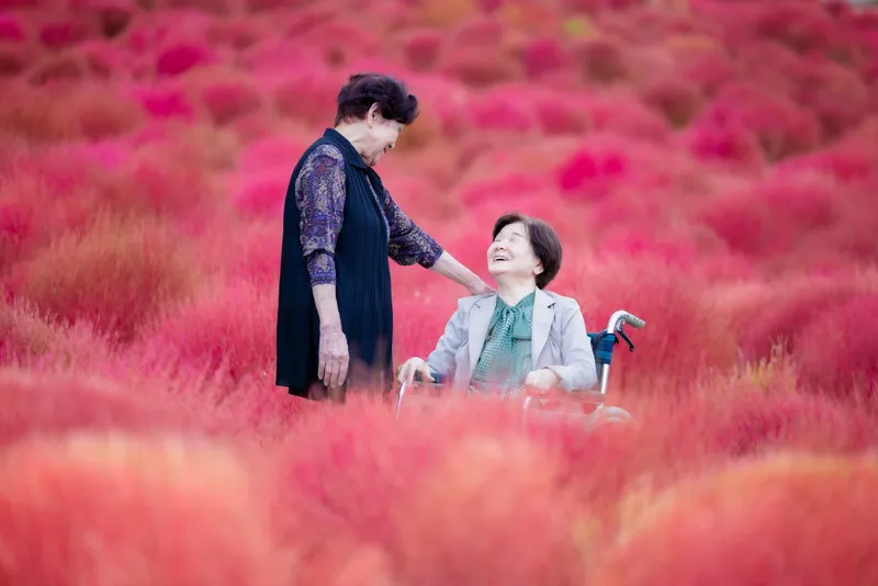 みのだの杜の風景