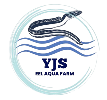 YJS Eel Aqua Farm