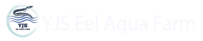 YJS Eel Aqua Farm