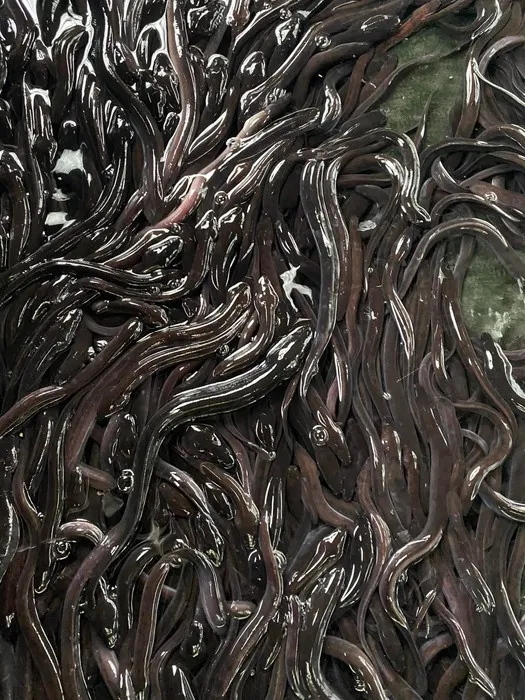 安定的かつ継続的な供給