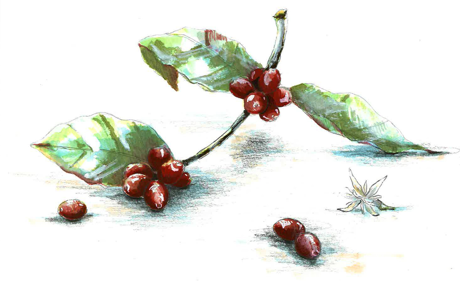 合同会社宙ノ彩