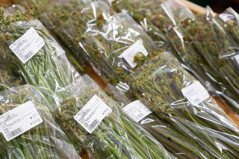 青空コーナー 5