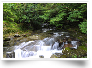 成川渓谷・成川渓谷休養センター・高月温泉