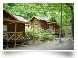 節安ふれあいの森