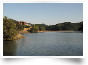 中山池自然公園