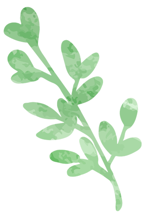 葉イラスト