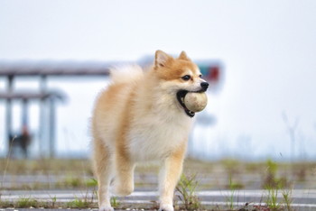 遊び・スキンシップ