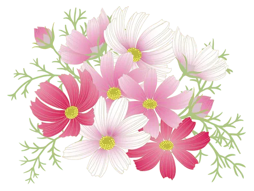 制作・スピード配送