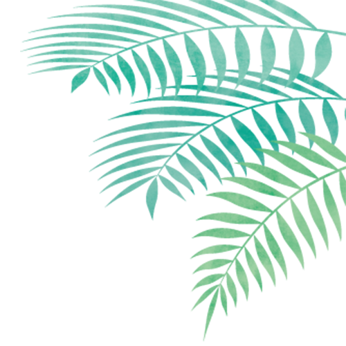 イラスト