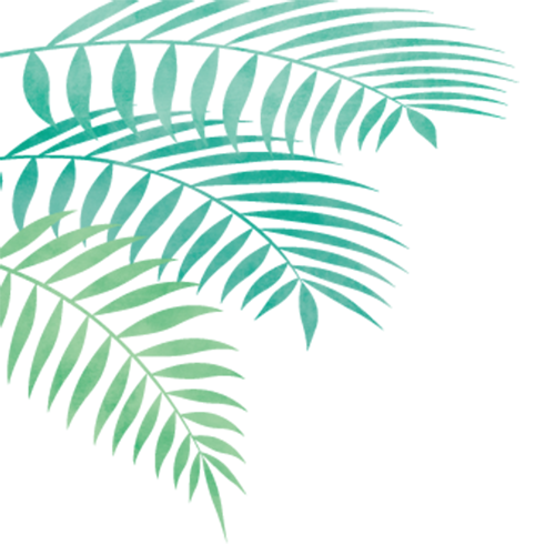 イラスト