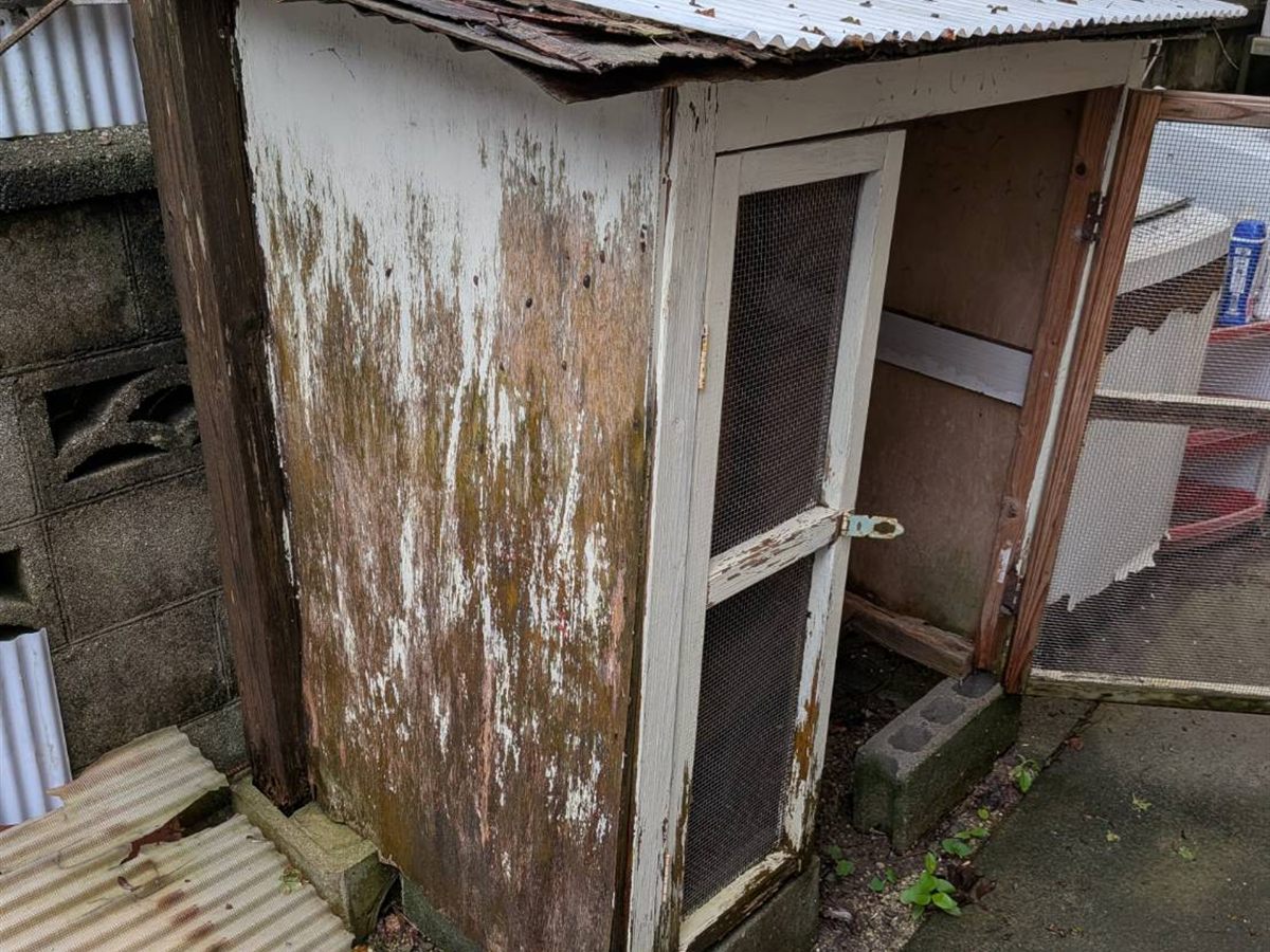 愛媛県松山市 うさぎ小屋 解体撤去工事｜施工前