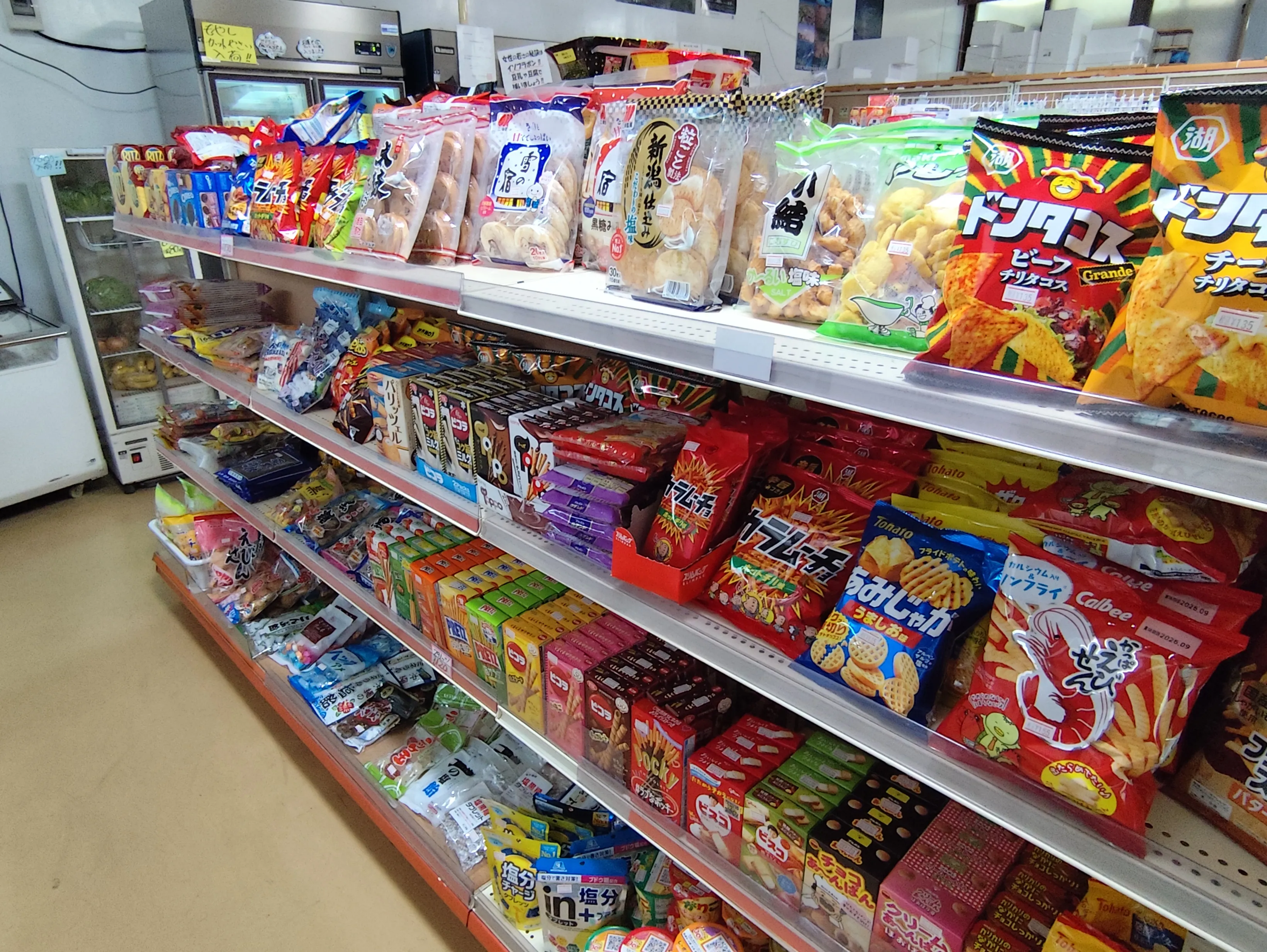 浜共同店の近くに広がる国頭村の海