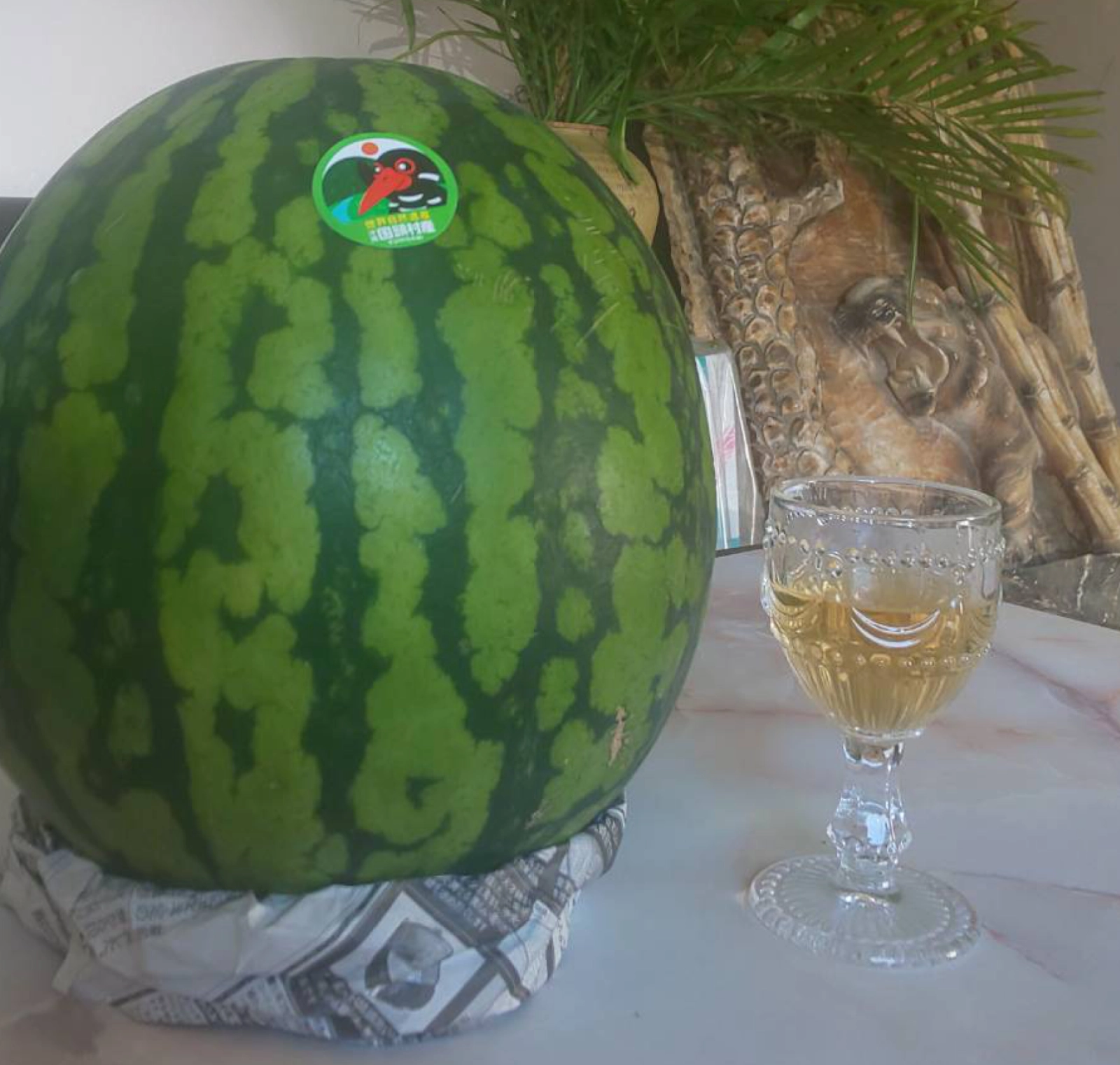 赤土スイカ