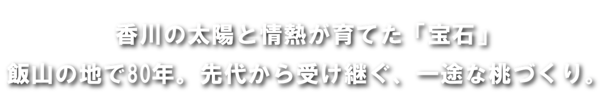キャッチコピー
