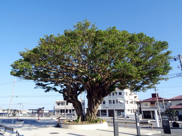 地域密着