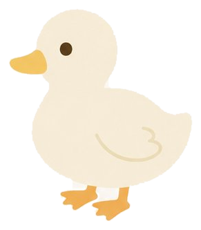 アヒル