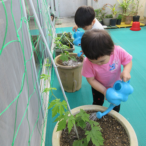 園のようす