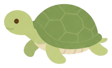 カメ