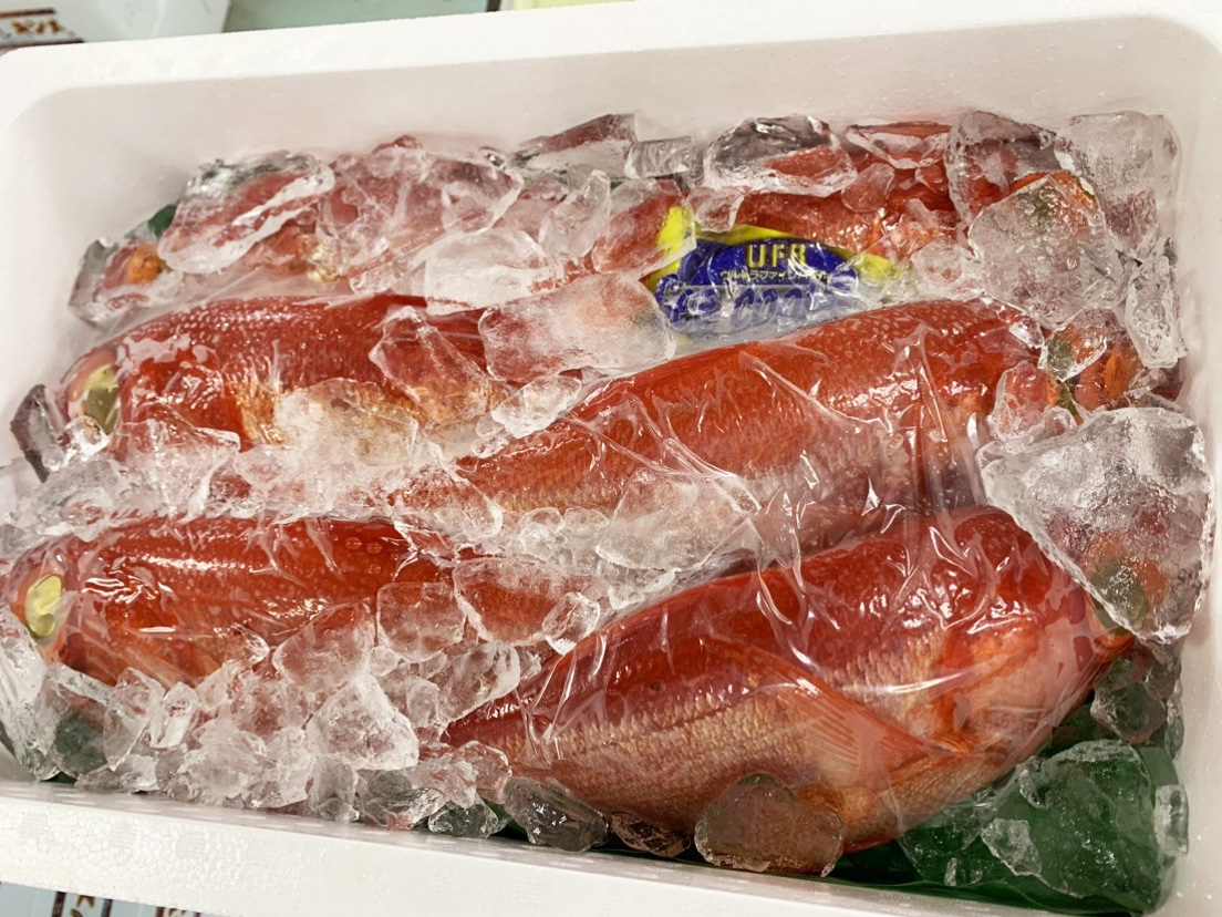 氷詰めされた新鮮なかりゆしキンメ