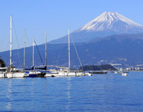 駿河湾の景色