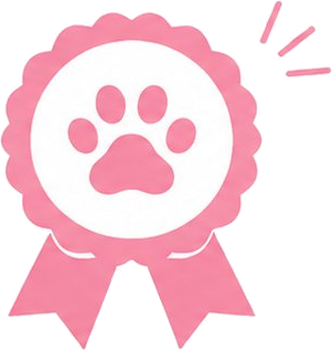 10年目の信頼と実績