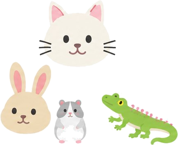 爬虫類・小動物・猫