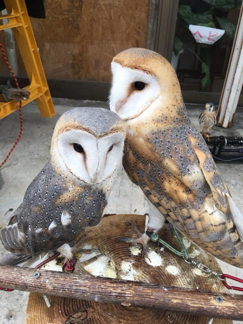 生態に合わせた飼育提案