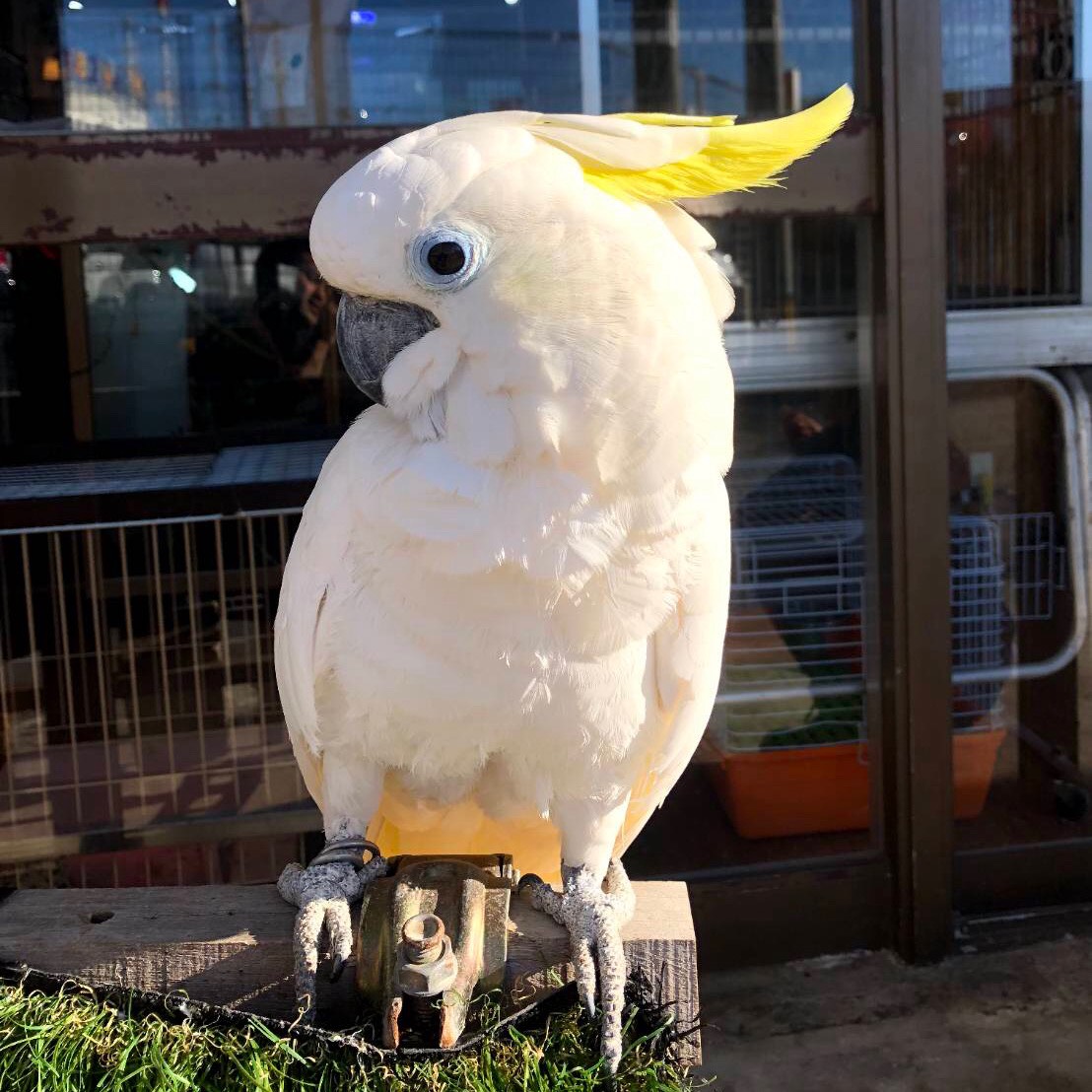 店舗外観