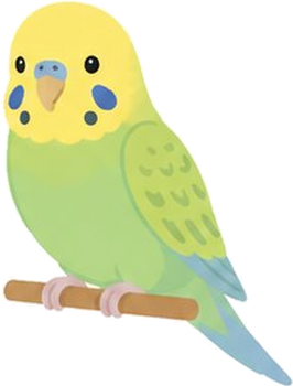 鳥類