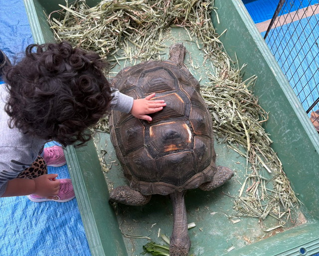 動物のリクエスト・相談