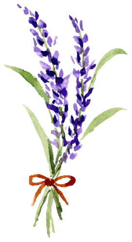 花イラスト