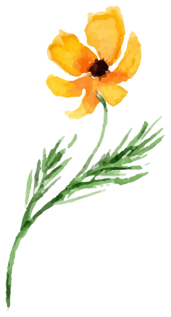 花イラスト