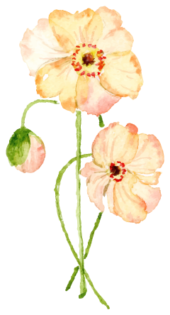 花イラスト