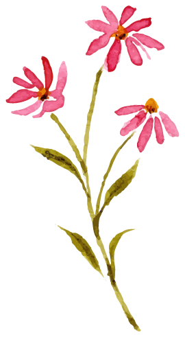 花イラスト