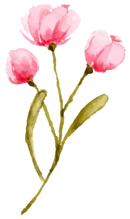 花イラスト